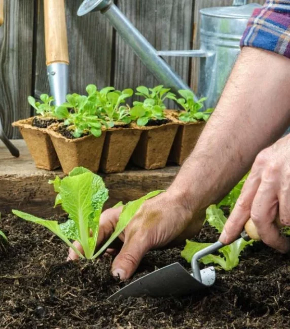 port-img-2 port-img-2